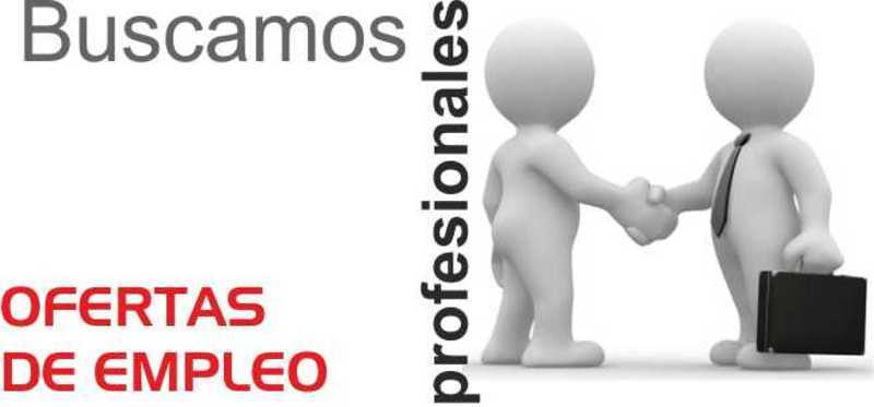 Seccion