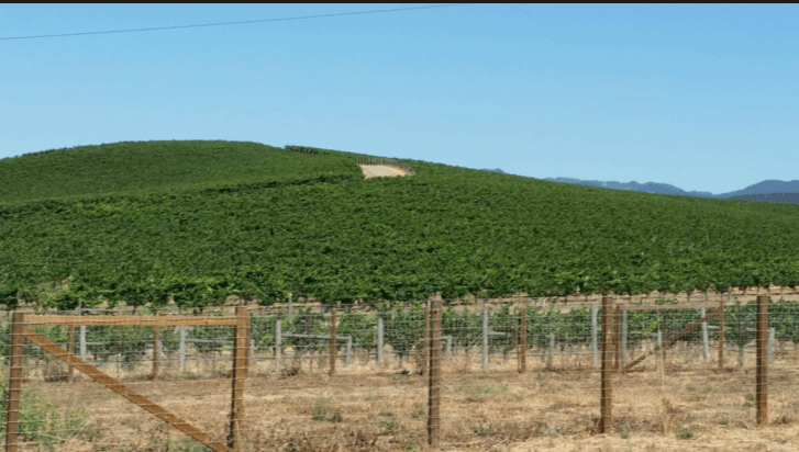 D&oacute;nde se ha hecho la foto del famoso fondo de escritorio de Windows XP