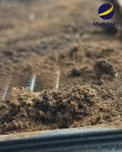 Cómo el polvo y el tabaco afectan el rendimiento de tu PC y qué hacer para evitarlo.