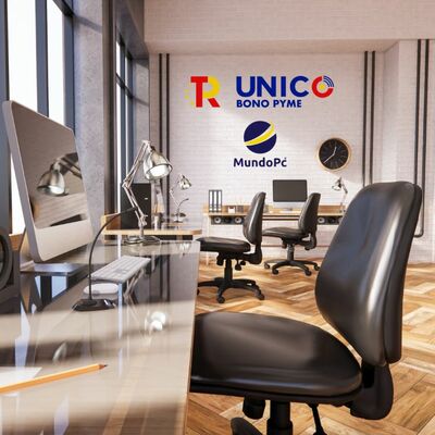 Ayuda a empresas: UNICO Demanda Bono PYME