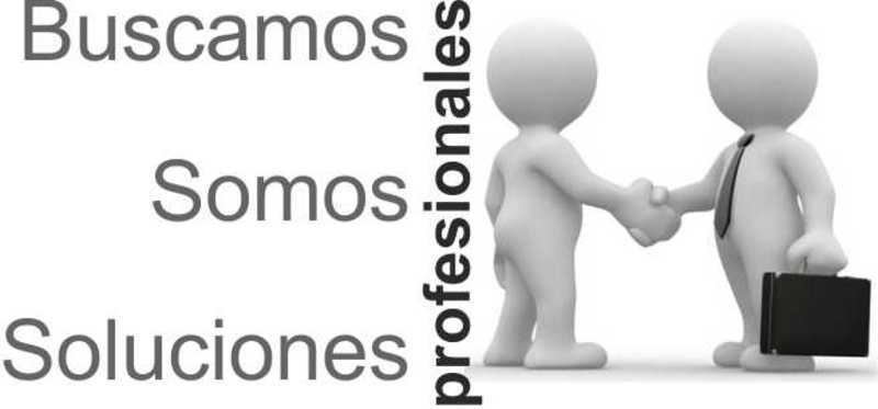 Imagen de sección